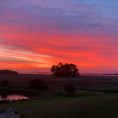 Pelican Point Sanctuary St Helens Bagian luar foto