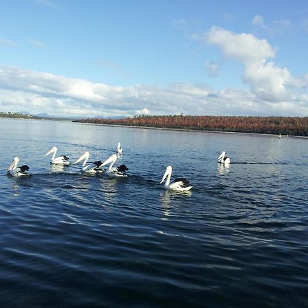 Pelican Point Sanctuary St Helens Bagian luar foto