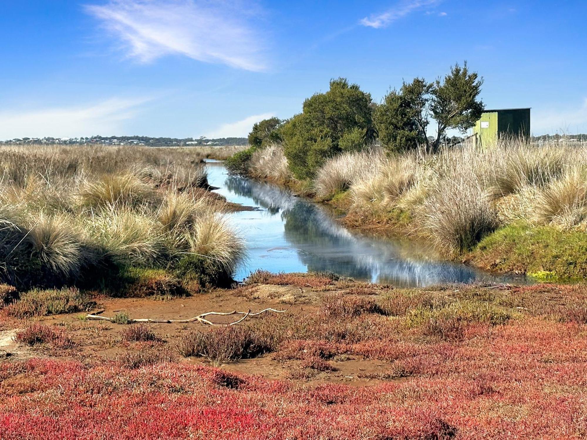 Pelican Point Sanctuary St Helens Bagian luar foto