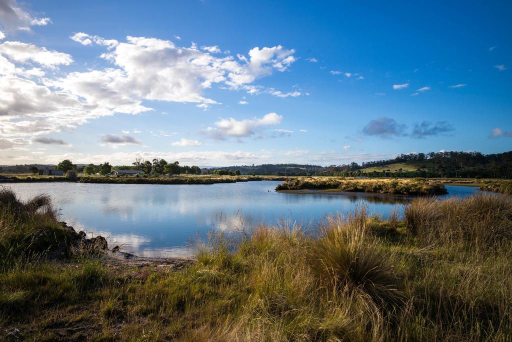 Pelican Point Sanctuary St Helens Bagian luar foto