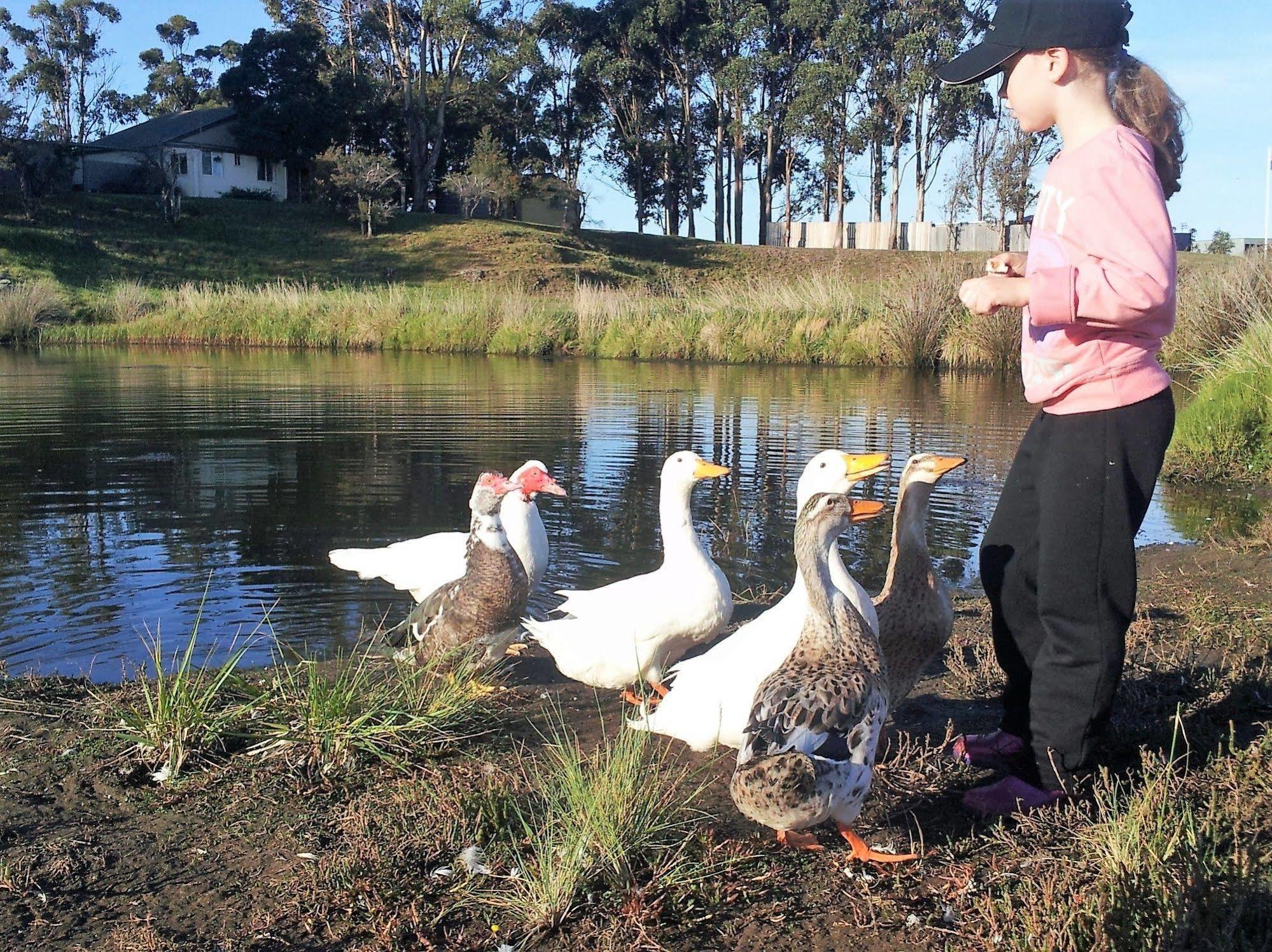 Pelican Point Sanctuary St Helens Bagian luar foto